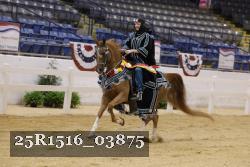 25R1516_03875 thumbnail