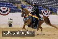 25R1516_03876 thumbnail