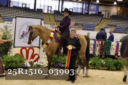 25R1516_03903 thumbnail