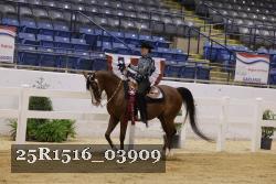 25R1516_03909 thumbnail