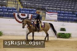 25R1516_03917 thumbnail