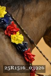25R1516_03926 thumbnail