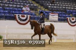 25R1516_03929 thumbnail
