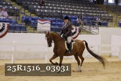 25R1516_03931 thumbnail
