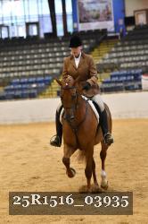 25R1516_03935 thumbnail