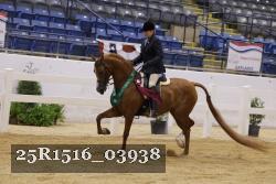 25R1516_03938 thumbnail