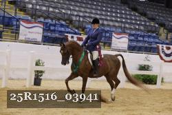 25R1516_03941 thumbnail
