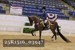 25R1516_03947 thumbnail