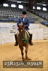 25R1516_03948 thumbnail
