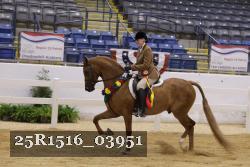 25R1516_03951 thumbnail