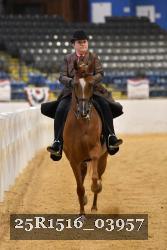 25R1516_03957 thumbnail