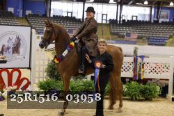25R1516_03958 thumbnail
