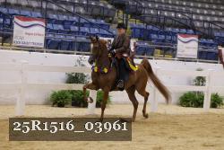 25R1516_03961 thumbnail