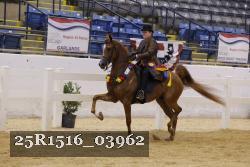 25R1516_03962 thumbnail