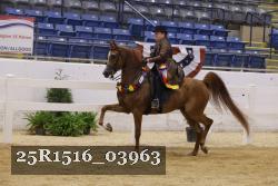 25R1516_03963 thumbnail