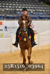25R1516_03964 thumbnail