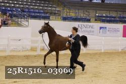 25R1516_03969 thumbnail