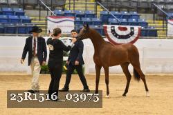 25R1516_03975 thumbnail