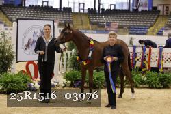 25R1516_03976 thumbnail