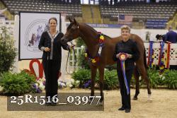 25R1516_03977 thumbnail