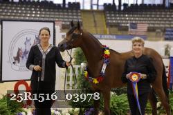 25R1516_03978 thumbnail