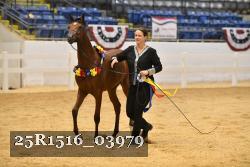 25R1516_03979 thumbnail