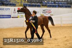 25R1516_03980 thumbnail