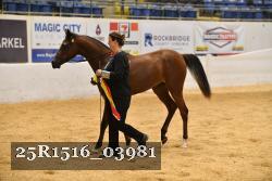 25R1516_03981 thumbnail