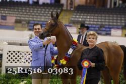 25R1516_03983 thumbnail