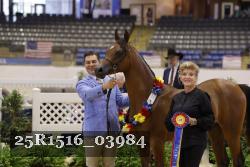 25R1516_03984 thumbnail