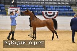 25R1516_04127 thumbnail