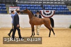 25R1516_04128 thumbnail