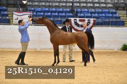25R1516_04129 thumbnail