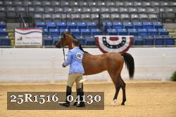 25R1516_04130 thumbnail