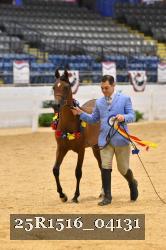25R1516_04131 thumbnail