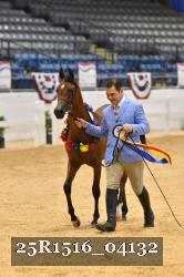 25R1516_04132 thumbnail