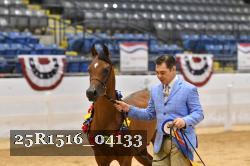 25R1516_04133 thumbnail