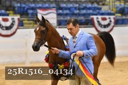 25R1516_04134 thumbnail