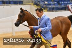 25R1516_04135 thumbnail