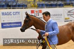 25R1516_04136 thumbnail