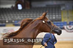 25R1516_04138 thumbnail