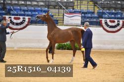 25R1516_04139 thumbnail