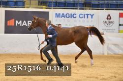 25R1516_04141 thumbnail