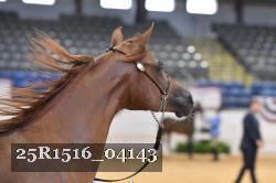 25R1516_04143 thumbnail