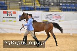 25R1516_04145 thumbnail
