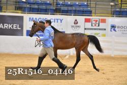 25R1516_04146 thumbnail