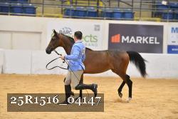 25R1516_04147 thumbnail