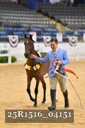 25R1516_04151 thumbnail