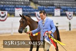25R1516_04152 thumbnail