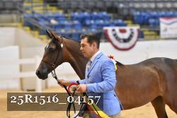25R1516_04157 thumbnail